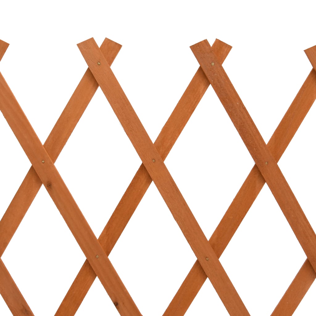 Lando-Gard cu zăbrele de grădină, portocaliu, 120x60 cm, lemn de brad- lando.md