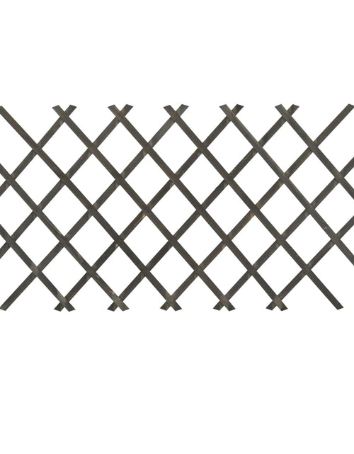 Загрузите изображение в средство просмотра галереи, Gard cu zăbrele de grădină, gri, 120x90 cm, lemn masiv de brad. Lando - Lando
