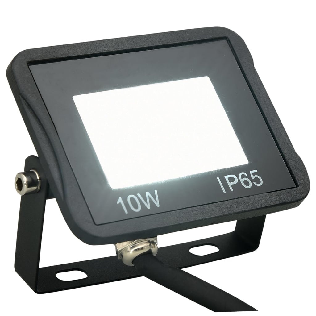 Proiector cu LED, 10 W, alb rece Lando - Lando