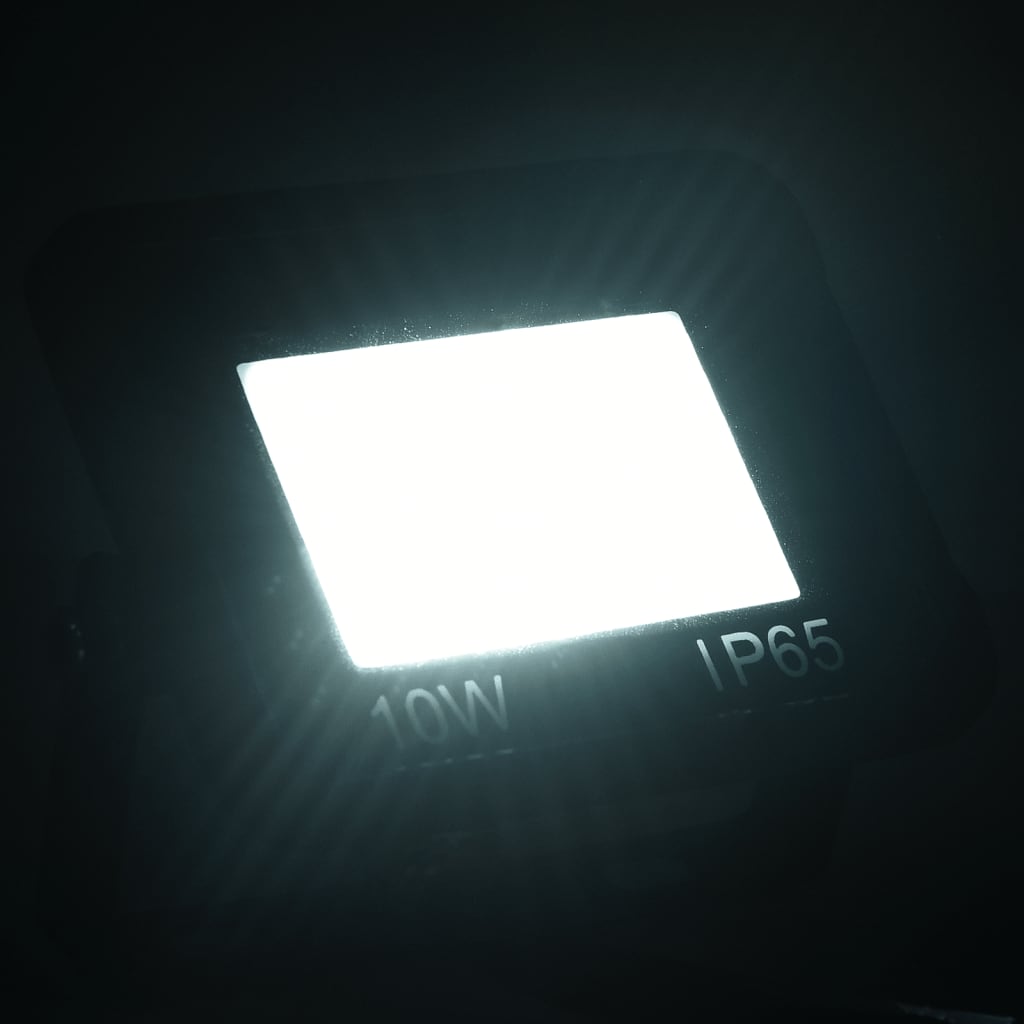 Proiectoare cu LED, 10 W, 2 buc., alb rece Lando - Lando