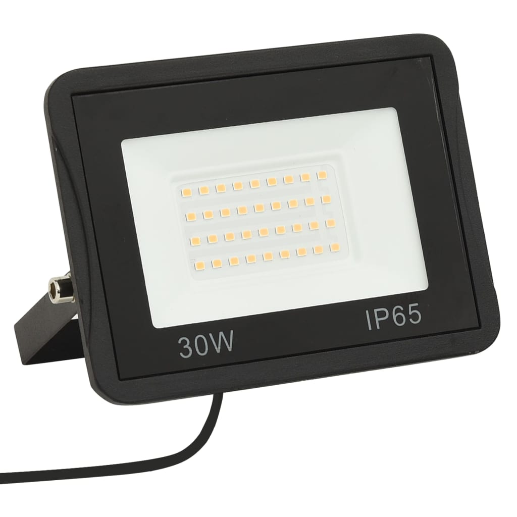 Proiector cu LED, 30 W, alb rece Lando - Lando