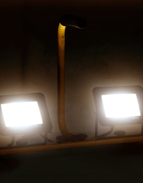 Încărcați imaginea în vizualizatorul Galerie, Proiector LED cu mâner, 2x30 W, alb cald Lando - Lando
