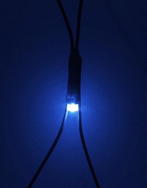 Загрузите изображение в средство просмотра галереи, Plasă lumini Crăciun, albastru 3x3 m, 306 LED interior/exterior Lando - Lando

