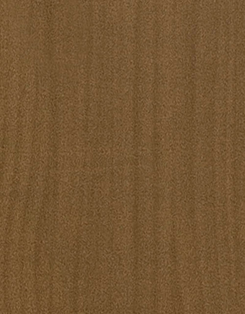 Încărcați imaginea în vizualizatorul Galerie, Bibliotecă/Separator cameră maro miere 40x30x167,5 cm lemn pin Lando - Lando
