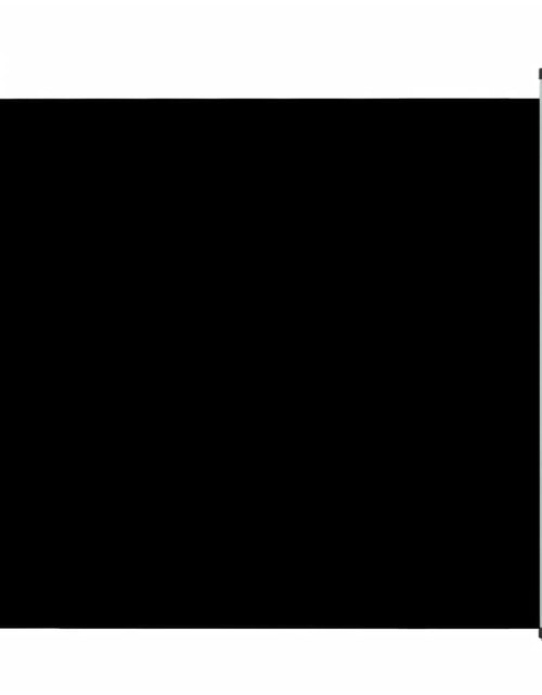 Загрузите изображение в средство просмотра галереи, Copertină laterală retractabilă de terasă, negru, 170x300 cm - Lando
