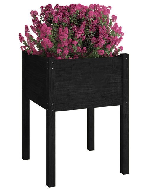 Încărcați imaginea în vizualizatorul Galerie, Jardinieră de grădină, negru, 50x50x70 cm, lemn masiv de pin - Lando
