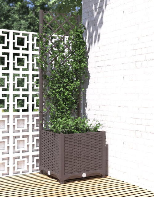 Încărcați imaginea în vizualizatorul Galerie, Jardinieră de grădină cu spalier maro, 40x40x136 cm, PP - Lando
