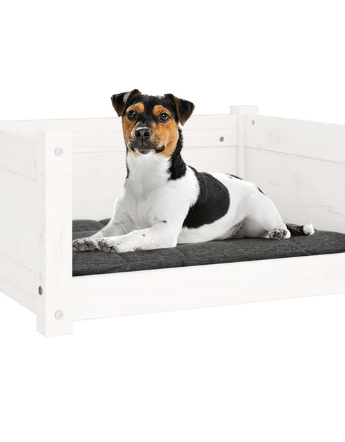 Încărcați imaginea în vizualizatorul Galerie, Pat pentru câini, alb, 55,5x45,5x28 cm, lemn masiv de pin - Lando
