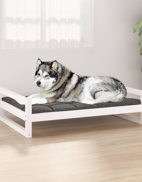 Încărcați imaginea în vizualizatorul Galerie, Pat pentru câini, alb, 105,5x75,5x28 cm, lemn masiv de pin - Lando
