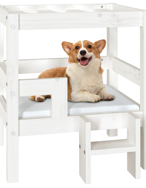 Încărcați imaginea în vizualizatorul Galerie, Pat pentru câini, alb, 55,5x53,5x60 cm, lemn masiv de pin - Lando
