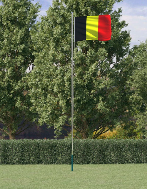 Încărcați imaginea în vizualizatorul Galerie, Steag Belgia și stâlp din aluminiu, 6,23 m Lando - Lando
