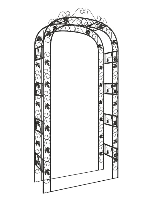 Încărcați imaginea în vizualizatorul Galerie, Arcadă de grădină, negru, 116x45x240 cm, oțel - Lando
