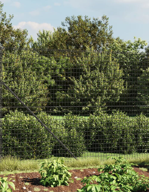 Загрузите изображение в средство просмотра галереи, Gard plasă de sârmă cu bordură, antracit, 2,2x10 m - Lando
