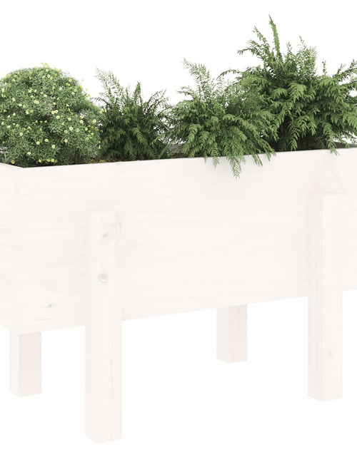 Încărcați imaginea în vizualizatorul Galerie, Jardinieră de grădină, alb, 62x30x38 cm, lemn masiv de pin - Lando
