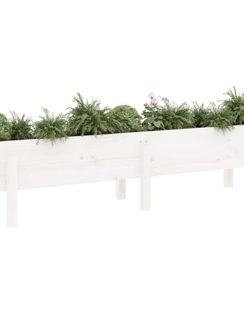 Încărcați imaginea în vizualizatorul Galerie, Strat înălțat de grădină, alb, 160x30x38 cm, lemn masiv de pin - Lando
