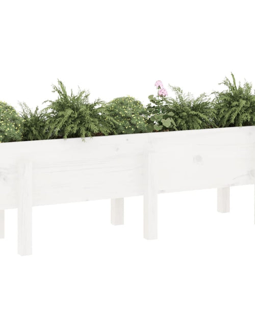 Încărcați imaginea în vizualizatorul Galerie, Strat înălțat de grădină, alb, 121x30x38 cm, lemn masiv de pin - Lando
