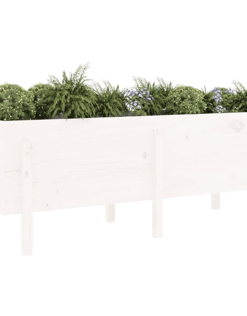 Загрузите изображение в средство просмотра галереи, Strat înălțat de grădină, alb, 160x50x57 cm, lemn masiv de pin - Lando
