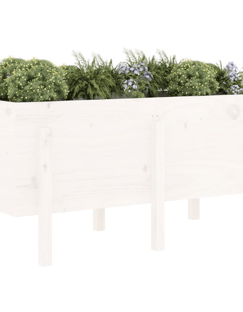 Загрузите изображение в средство просмотра галереи, Strat înălțat de grădină, alb, 121x50x57 cm, lemn masiv de pin - Lando
