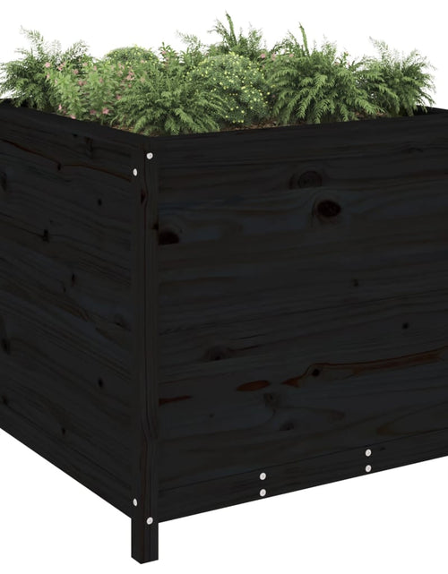 Încărcați imaginea în vizualizatorul Galerie, Jardinieră de grădină, negru, 82,5x82,5x78 cm lemn masiv de pin - Lando

