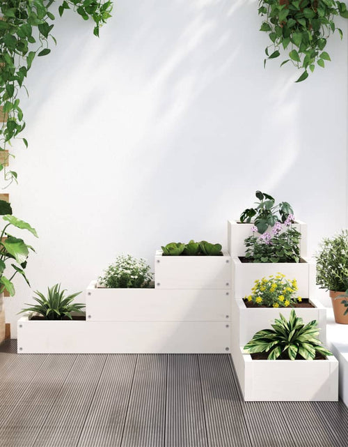 Încărcați imaginea în vizualizatorul Galerie, Jardinieră grădină 4 niveluri, alb 80,5x79x36 cm lemn masiv pin - Lando
