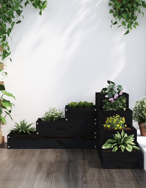 Загрузите изображение в средство просмотра галереи, Jardinieră grădină 4 niveluri, negru 80,5x79x36 cm lemn pin - Lando
