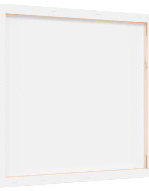 Încărcați imaginea în vizualizatorul Galerie, Pânze întinse, 12 buc., alb, țesătură și lemn masiv pin Lando - Lando
