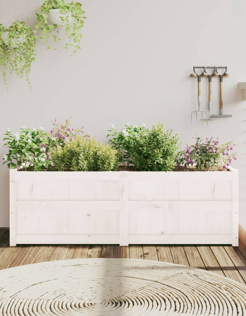 Încărcați imaginea în vizualizatorul Galerie, Jardinieră de grădină, alb, 150x50x50 cm, lemn masiv de pin - Lando
