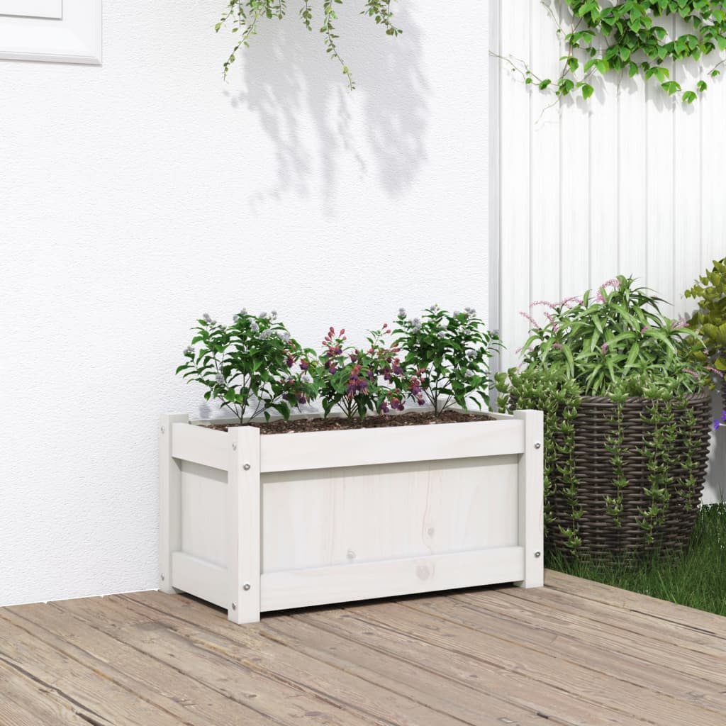 Jardinieră de grădină, alb, 60x31x31 cm, lemn masiv de pin - Lando