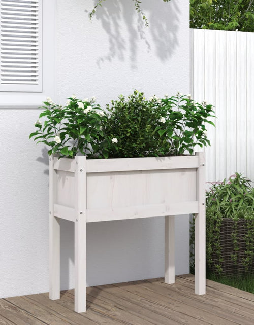 Загрузите изображение в средство просмотра галереи, Jardinier de grădină cu picioare, alb, 70x31x70 cm, lemn masiv - Lando
