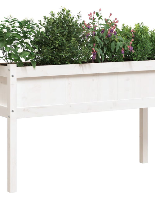 Încărcați imaginea în vizualizatorul Galerie, Jardinier de grădină cu picioare, alb, 110x31x70 cm, lemn masiv - Lando
