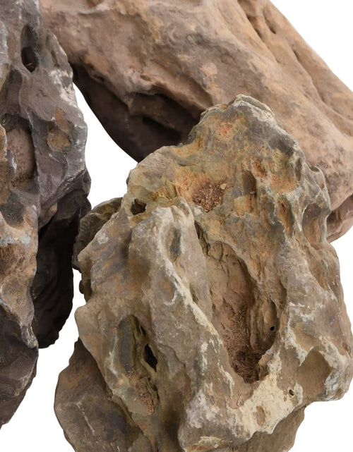 Загрузите изображение в средство просмотра галереи, Pietre dragon, 25 kg, gri, 10-40 cm - Lando
