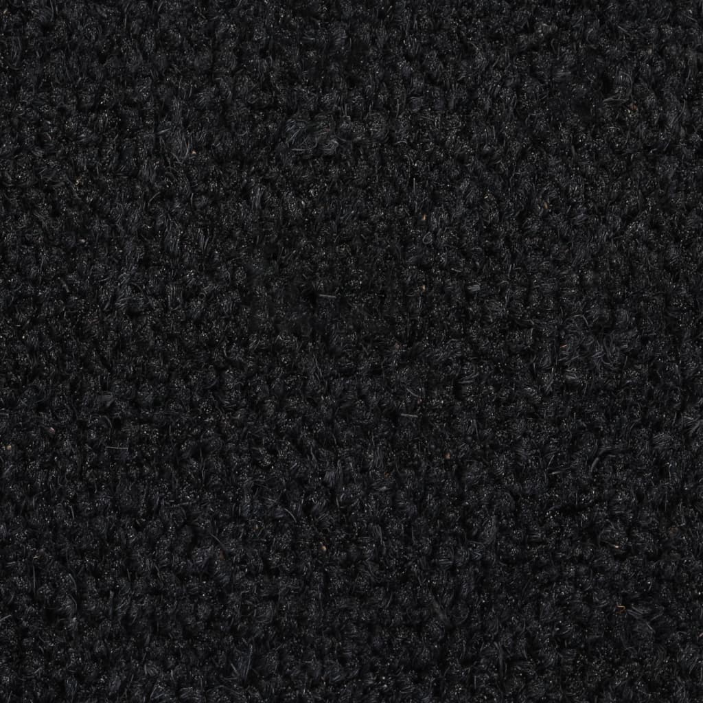 Covoraș de ușă, negru, 50x80 cm, fibre de cocos - Lando