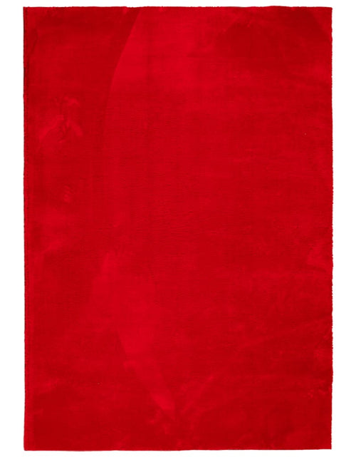 Încărcați imaginea în vizualizatorul Galerie, Covor HUARTE, fir scurt, moale și lavabil, roșu, 120x170 cm - Lando

