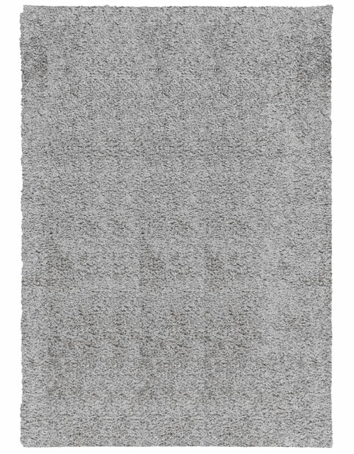 Încărcați imaginea în vizualizatorul Galerie, Covor pufos &quot;PAMPLONA&quot; cu fire înalte, gri modern, 160x230 cm - Lando
