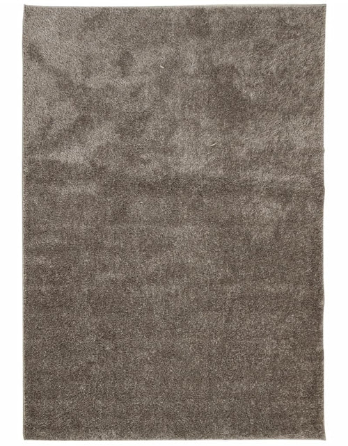 Încărcați imaginea în vizualizatorul Galerie, Covor ISTAN, cu fire înalte, aspect lucios, gri, 120x170 cm - Lando
