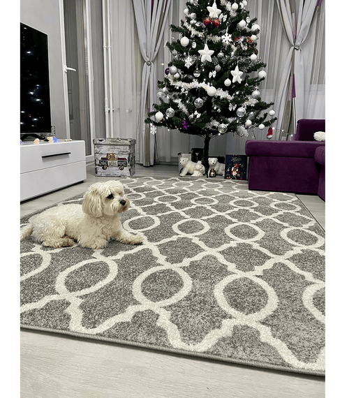 Загрузить изображение в Галерею просмотра, Lando-Carpet, узор светло-коричневый/слоновая кость, 100x150, DESTA-lando.md