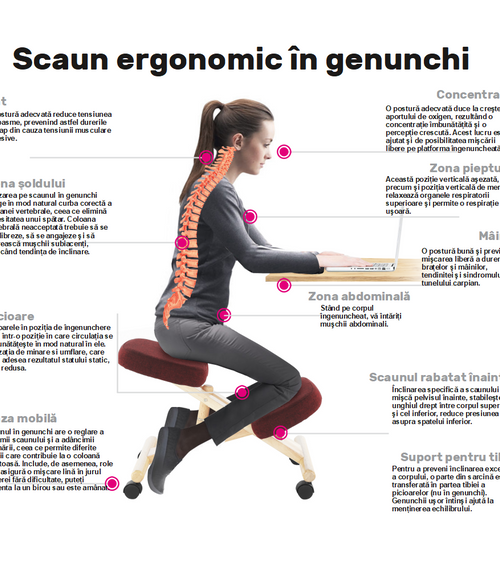 Загрузить изображение в Галерею просмотра, кресло Lando-Ergonomic, бензин/бук, FLONET-lando.md
