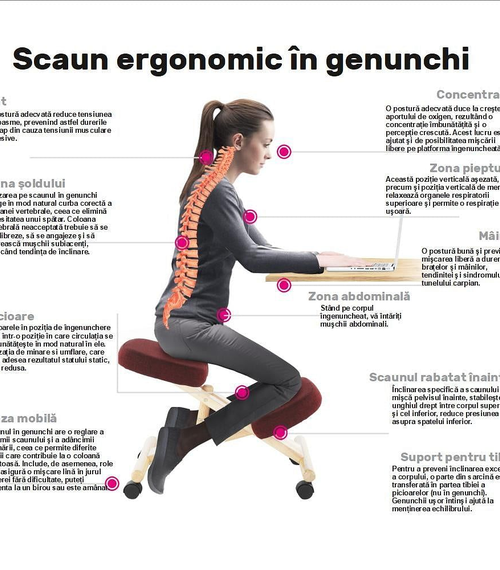 Загрузить изображение в Галерею просмотра, коленный стул Lando-Ergonomic, серо-коричневый серо-коричневый/бук, FLONET-lando.md